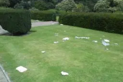 Litter in Gardens