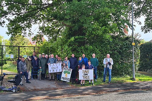 Save the Oak Tree, Priests Lane