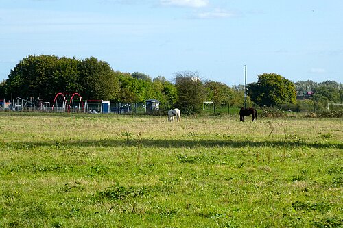 Running Horses