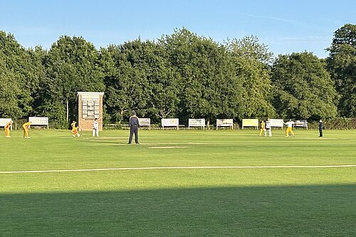 Charity cricket match at Horsham Sports Club