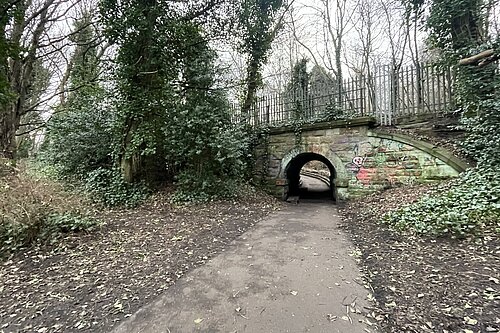 A tunnel under a bridge, surrounded by greenery, with a fence on top