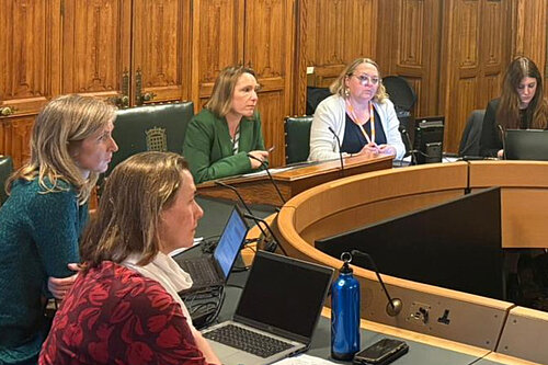 Helen chairing a Flooding APPG meeting in Parliament