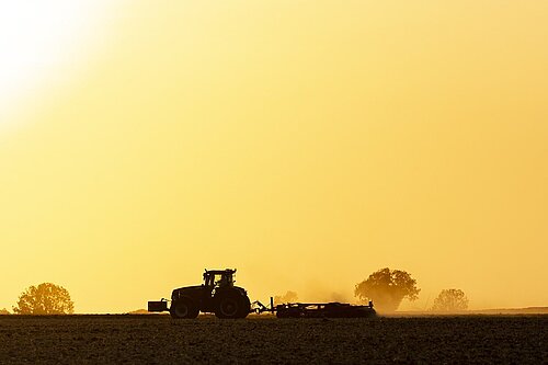 ploughing at sunset