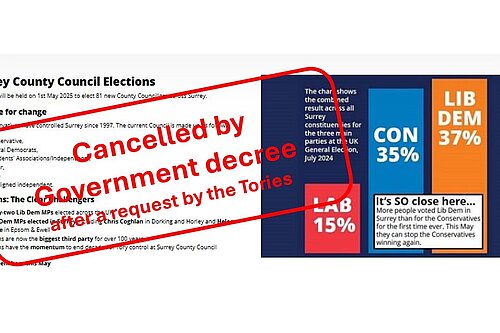 Graphic of cancelled elections